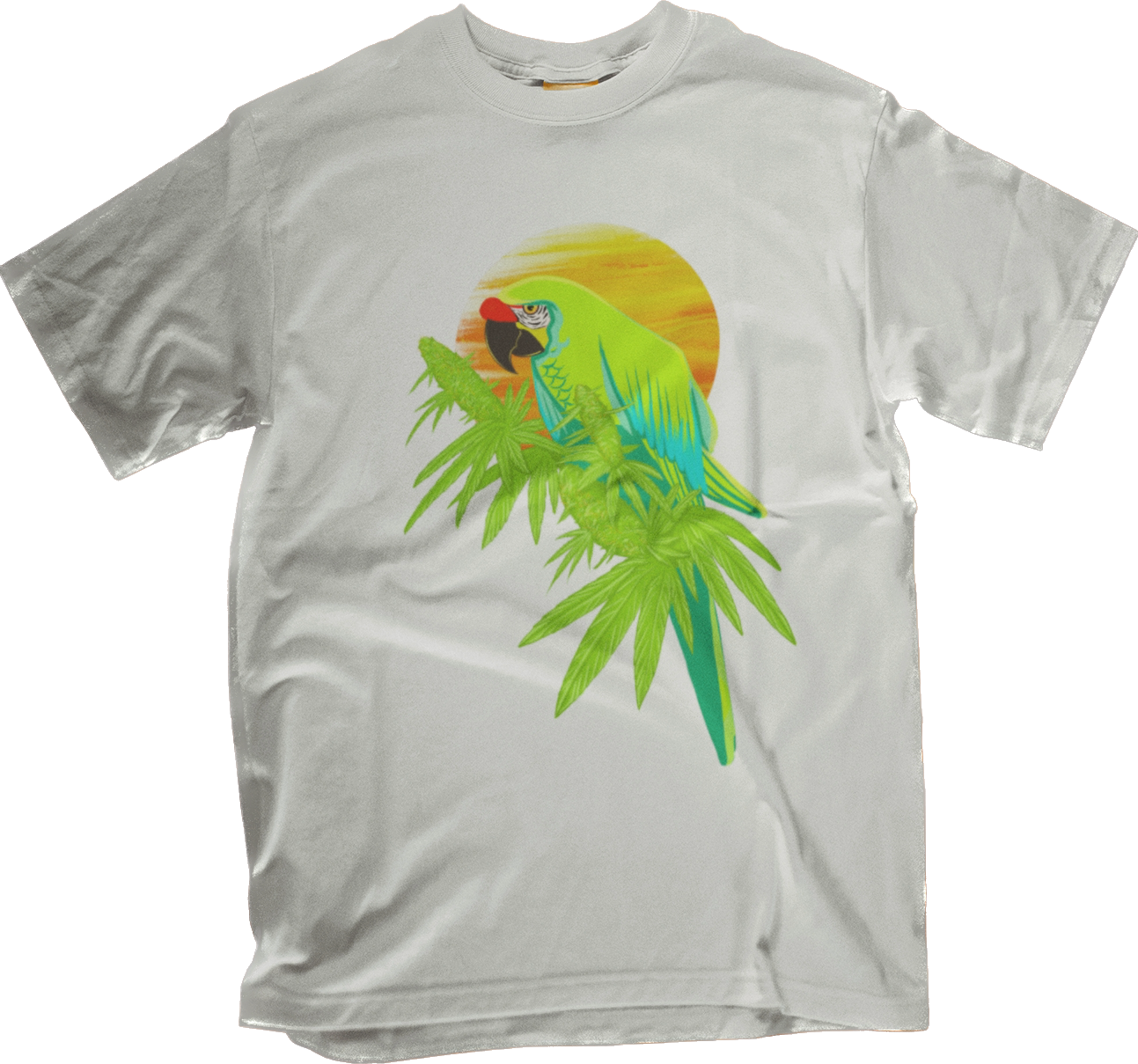 Bird 🦜 Tee