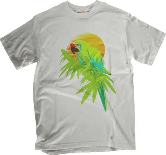 Bird 🦜 Tee