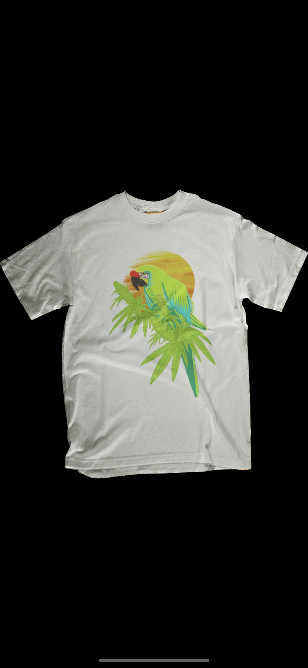 Bird 🦜 Tee